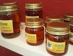菩提樹