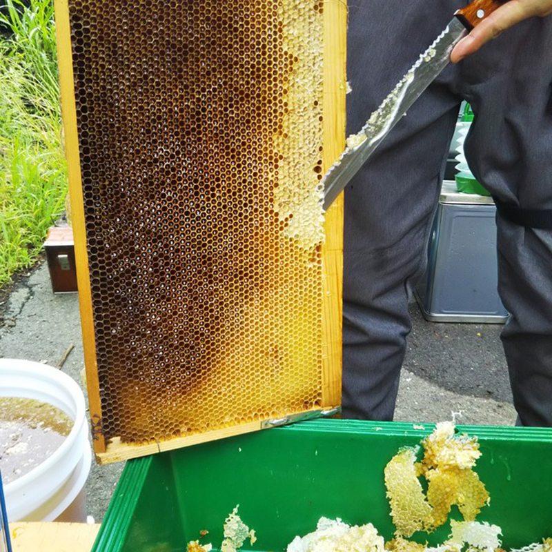 管理養蜂サービスについて